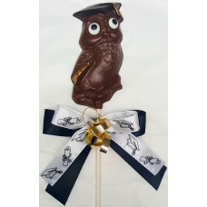 Graduate Owl Lolly