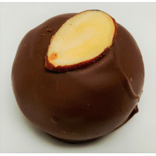 Almond Truffle (hand-made)