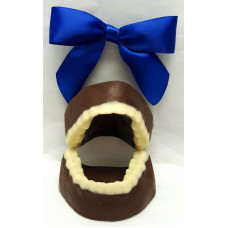 Chocolate Denture